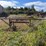 #114-•-logosol-m7-chainsaw-sawmill-(ironwood,-mi)-image-3