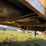 #602-•-2016-dvs/ants-16'-live-bottom-floor/dump-trailer-(has-mi-title)-(chassell,-mi)-image-27