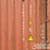 40'-container-image-21