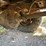 #424-•-vintage-ford-1-1/2-ton-single-axle-dump-truck-(no-title)-(houghton,-mi)-image-36