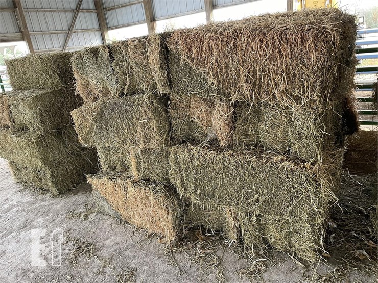 32 BALES SMALL SQUARE ALFALFA Lot 9002, 2023 Post Harvest