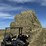 july-2025-4x4x8-sudex-hay-image-4