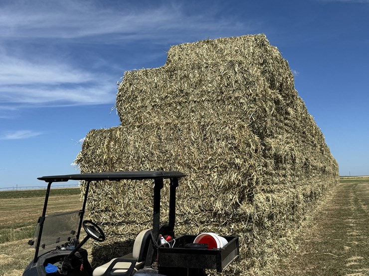 july-2025-4x4x8-sudex-hay-image-4