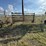 wilson-wheel-corral-image-12