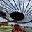 rhino-er-10-wheel-rake-image-18