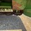 2000-john-deere-945-moco-image-13