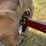 fargo-aire-3350-image-21