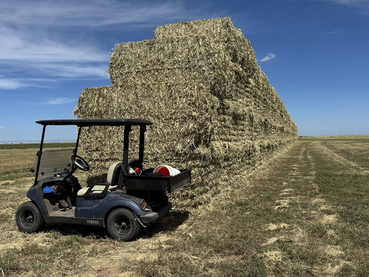 july-2025-4x4x8-sudex-hay-image-3