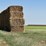 july-2025-4x4x8-sudex-hay-image-5