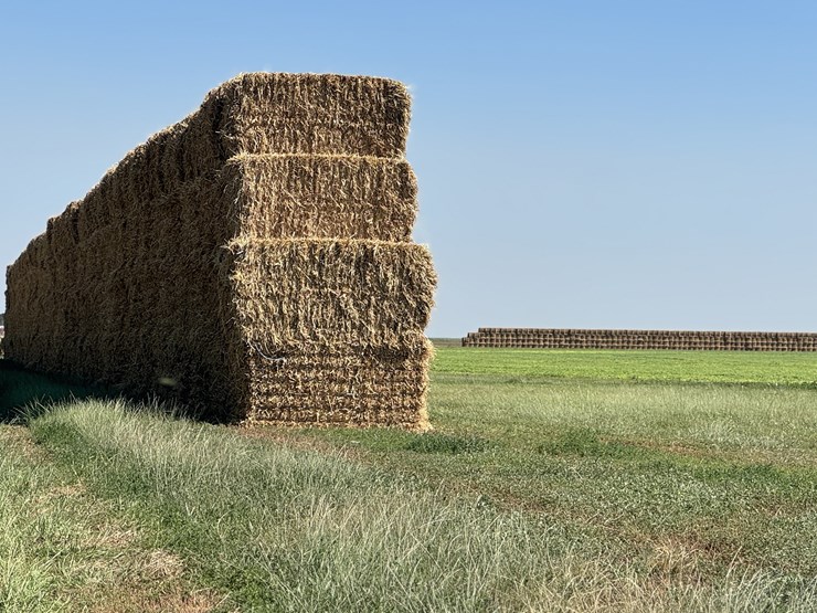 july-2025-4x4x8-sudex-hay-image-5