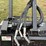 diamond-mulching-head-image-6