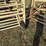 wilson-wheel-corral-image-24