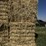 july-2025-4x4x8-sudex-hay-image-7