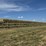 july-2025-4x4x8-sudex-hay-image-1