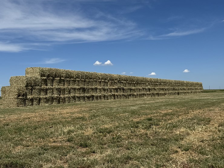 july-2025-4x4x8-sudex-hay-image-1