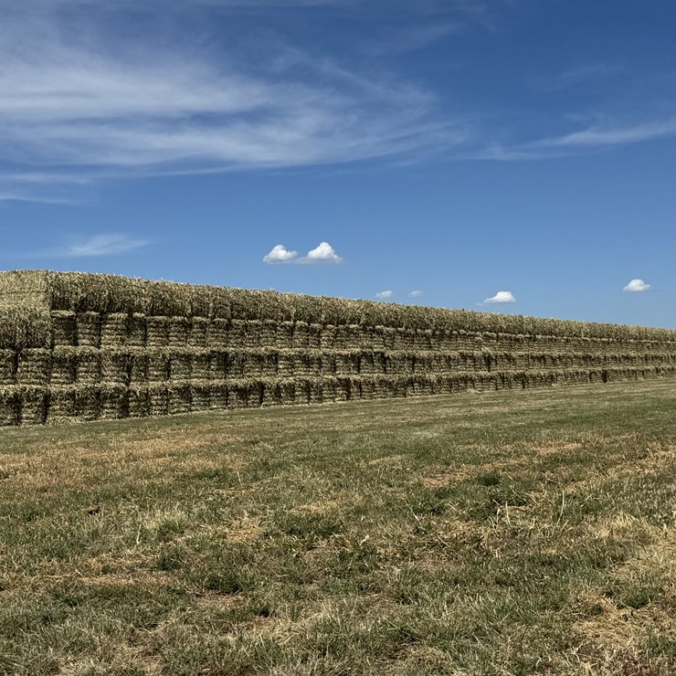July 2025 4x4x8 Sudex Hay