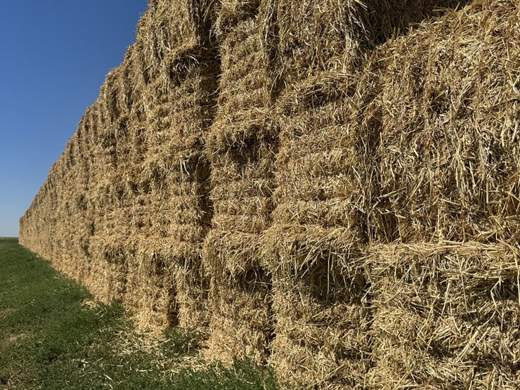 july-2025-4x4x8-sudex-hay-image-6