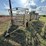 wilson-wheel-corral-image-10