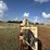 wilson-wheel-corral-image-17