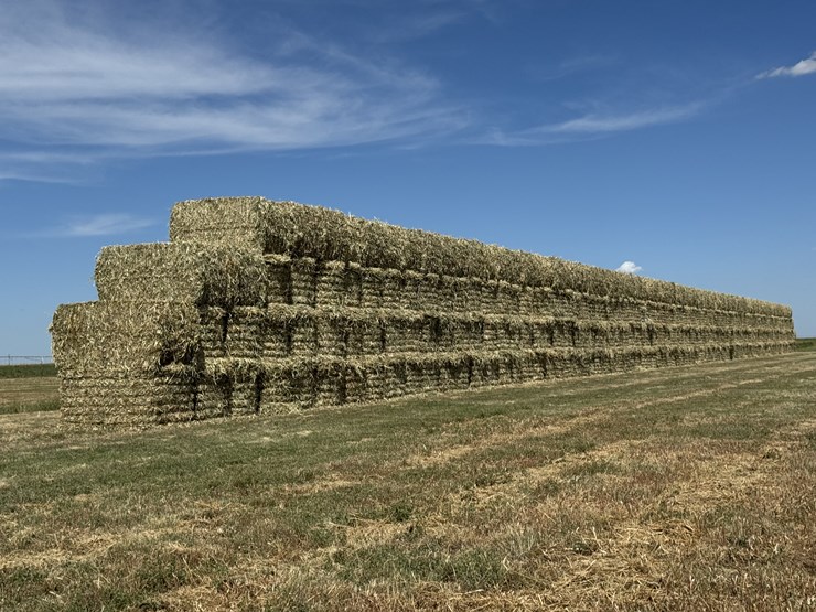 july-2025-4x4x8-sudex-hay-image-2