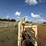 wilson-wheel-corral-image-18
