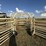 wilson-wheel-corral-image-20