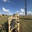 wilson-wheel-corral-image-15