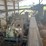 sawmill-machinery-image-1