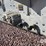 2006-wilson-livestock-trailer-image-48