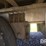 2006-wilson-livestock-trailer-image-23