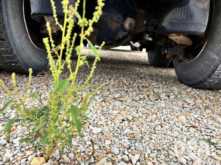 2007-ihc-9200i-liquid-nurse-truck-(gp11642,-unit-505)-image-39