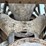 mack-granite-gu713-image-65