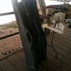 -ring-1--knives,-ammo,-collectibles-image