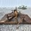 woods-cadet-60-image-2