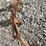 antique-cultivator-attachment-image-1
