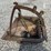 unknown-dirt-scoop-image-3