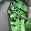 john-deere-8r-310-image-20