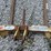 farm-star-3pt-forks-image-5