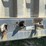 2002-flat-bed-trailer-with-title-image-2