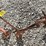 antique-cultivator-attachment-image-3