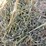 #4622-•-2nd-crop-hay-image-3
