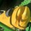 2017-john-deere-cs690-image-19