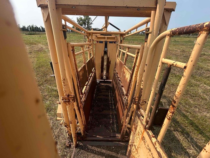 for-most-cattle-chute-image-13