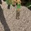 john-deere-7810-image-16