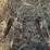 case-ih-8870-image-31