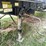 2002-flat-bed-trailer-with-title-image-6