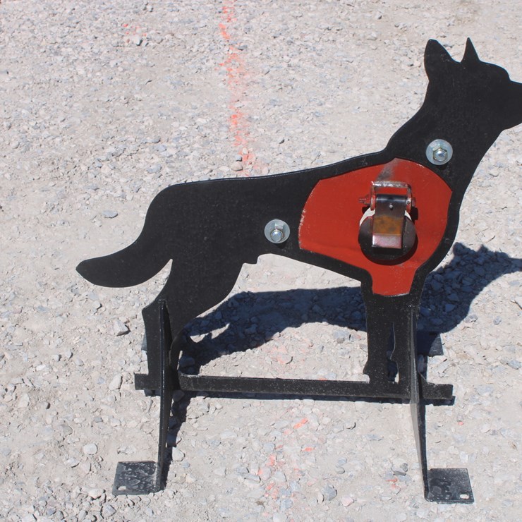 #4029 • Coyote Target