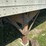 1992-great-dane-trailer-image-3