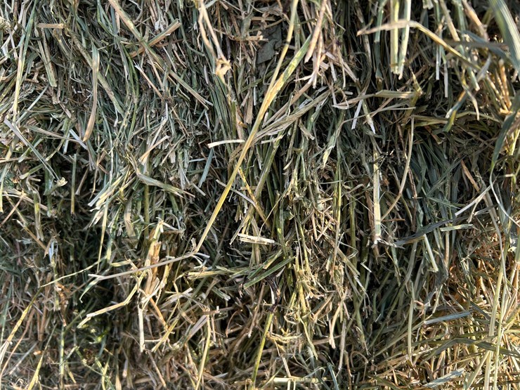 #4620-•-2nd-crop-hay-image-2