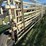 wilson-livestock-image-5